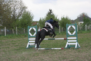 Mayday with traditional shows